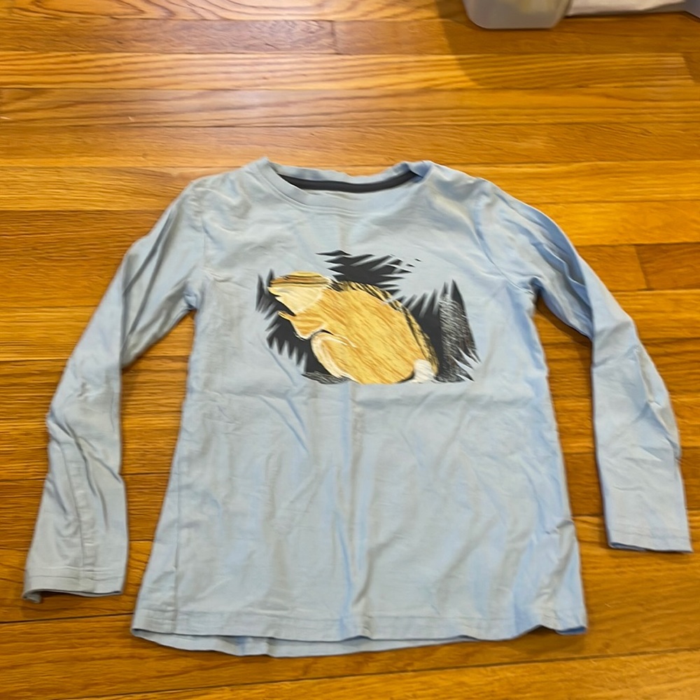 Tea Collection, long-sleeve, cotton, beaver, size 8, boys, light blue